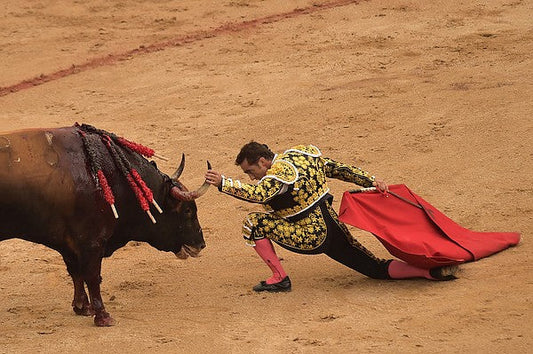 Who is the bullfighter Roca Rey, and will he bullfight in Pamplona during the San Fermines, 2026?