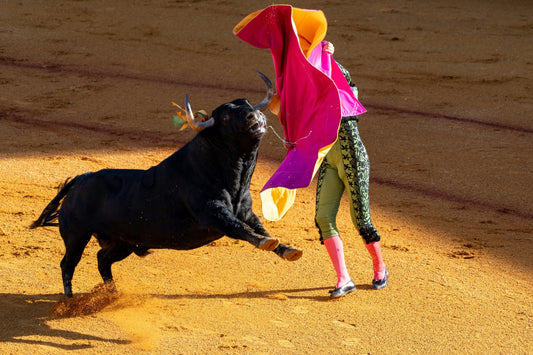 Bullfight Tickets in Pamplona During the San Fermín Fiestas