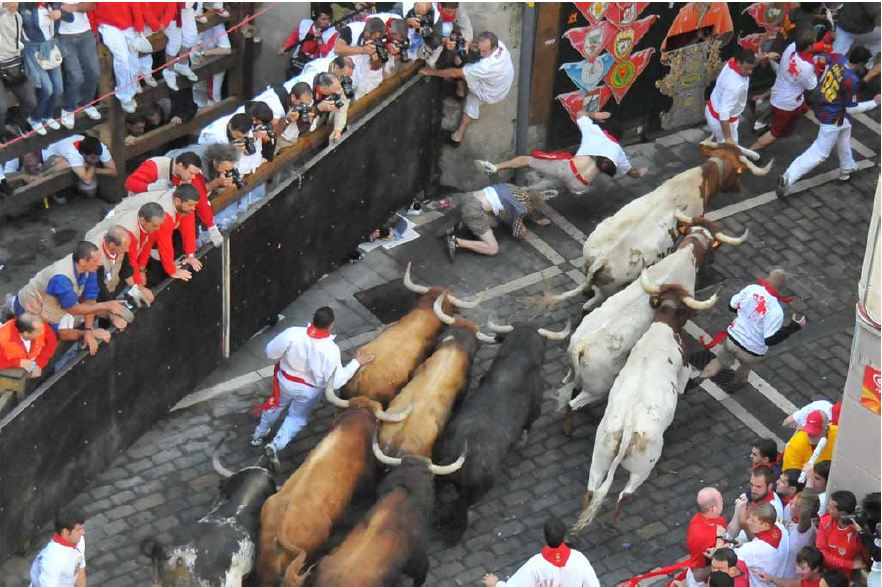 Logistics of the Bull Runs in Pamplona
