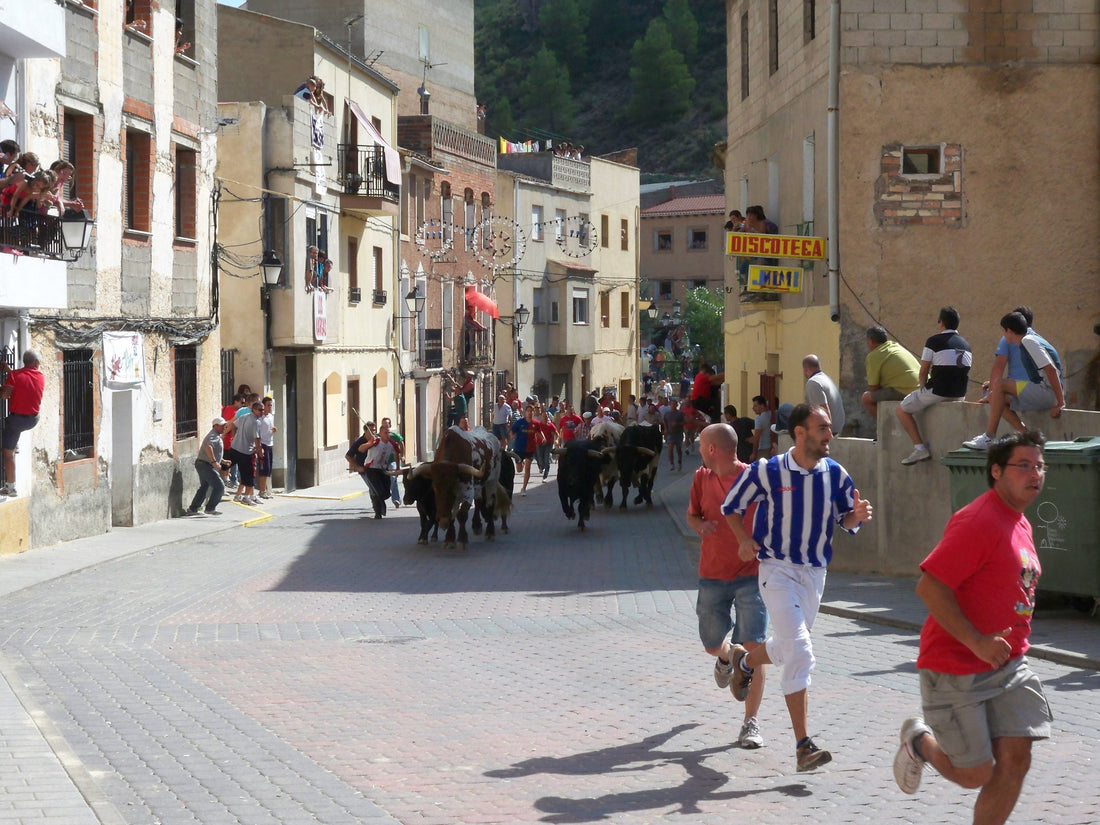 Where do bulls run in Spain?