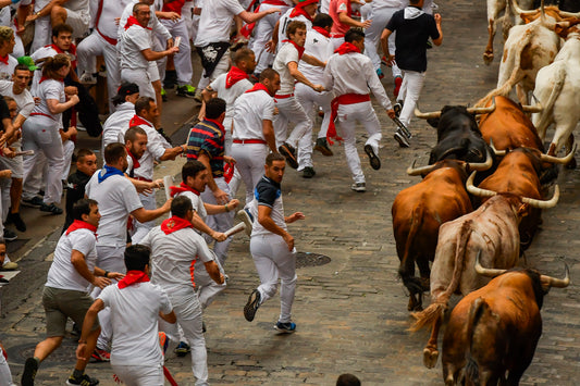 Do people die at the Running of the Bulls fiesta?