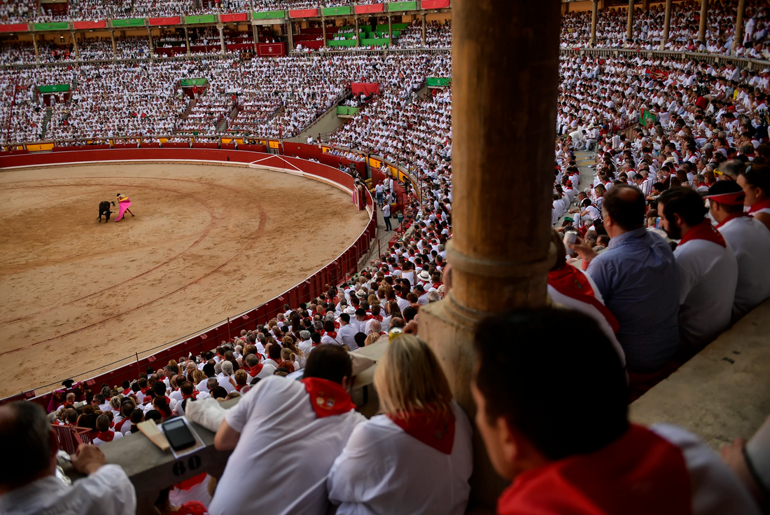 Understanding the Sections of the Bull Ring