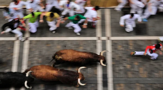 Since 1974: Celebrating 50 Years of Women Running with the Bulls