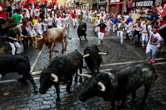 Burladeros: The Ultimate Way to Experience Spain's Bull Runs