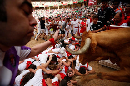 Bull Run: Plaza de Toros View