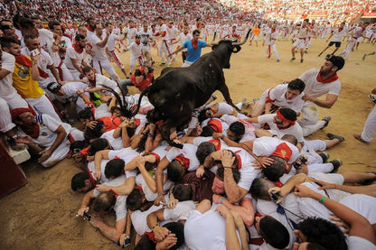 Bull Run: Plaza de Toros View