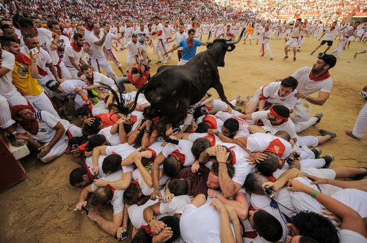 Bull Run: Plaza de Toros View