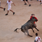 Bull Run: Plaza de Toros View