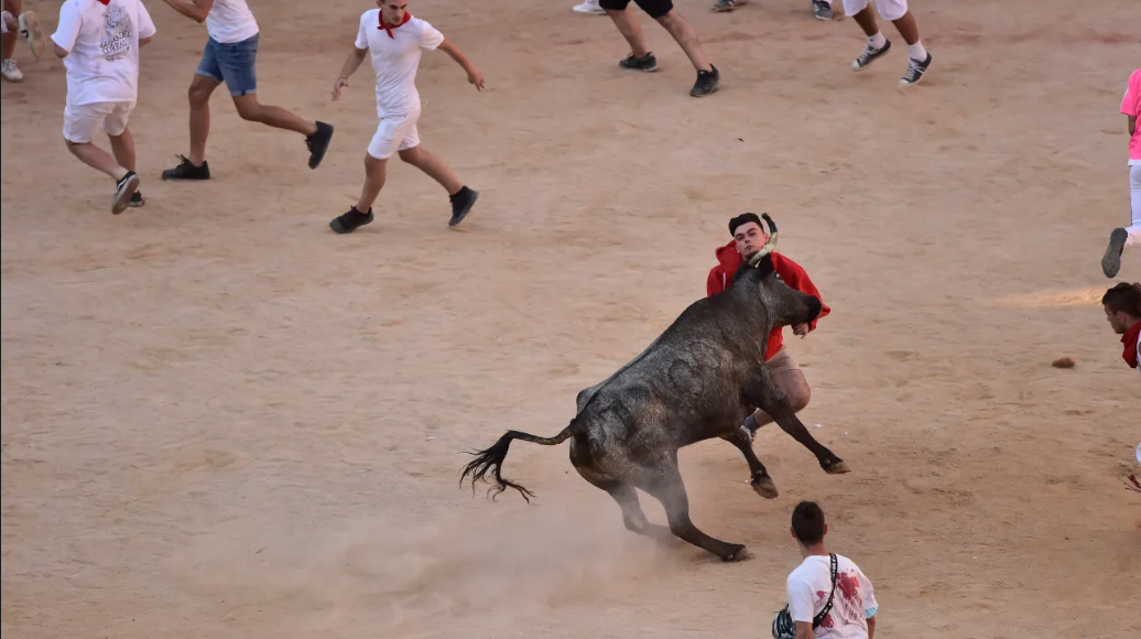 Bull Run: Plaza de Toros View